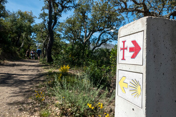 Camino de Santiago