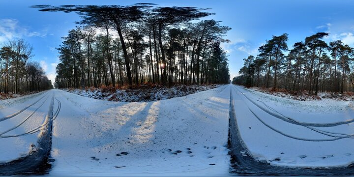 Neige en Foret