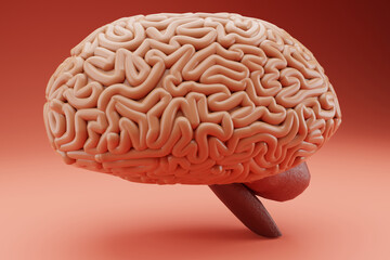 Human brain on light. 3D render.