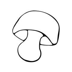 Hand drawn vector mushroom. Black simple outlines isolated on white. Doodle style. Illustration for coloring book design, seasonal autumn cards and the theme of thanksgiving