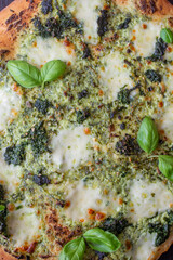 Obraz na płótnie Canvas wild garlic pizza with mozzarella cheese on a table