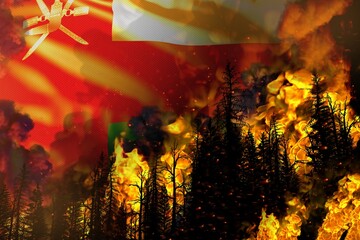 Big forest fire fight concept, natural disaster - infernal fire in the trees on Oman flag background - 3D illustration of nature