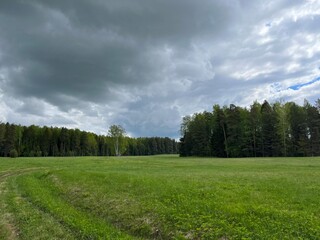 green field and forest background, cloudy sky
