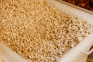Raw sunflower seed at market stall as background with copy space. Sunflower oil source, food crisis concept