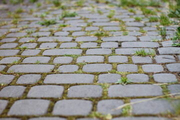 Overgrown with weeds street paving slabs