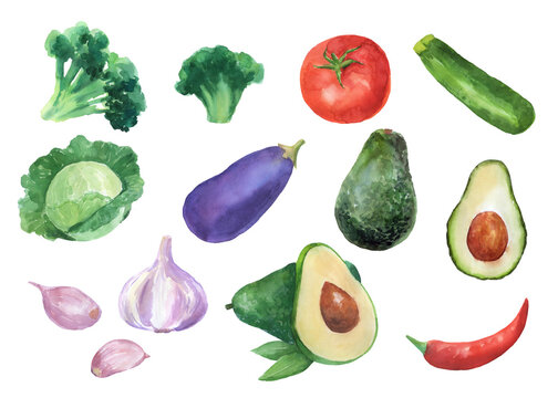 Hand Drawn Watercolor vegetables set isolated on white. Painting Illustration For Food Design. Broccoli, tomato, zucchini, cabbage and eggplant