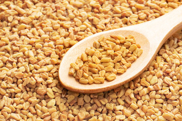 Fenugreek (Trigonella foenum-graecum) in wooden spoon on background from fenugreek. Macro. Soft focus. Healthy eating concept