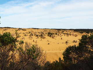 The Pinnacles Desert in Western Australia