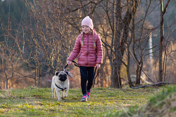 Naklejka na ściany i meble Autumn walk of a child with a dog, a girl and her pet - a pug.
