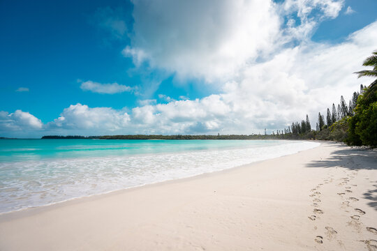 Plage de sable blanc &agrave; la Baie de Kuto, Ile des Pins. Nouvelle-Caledonie