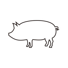 Pig icon vector illustration sign