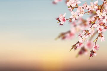 Spring beautiful nature concept. Flowers on branch, blooming tree.  Abstract blossoming blurry.