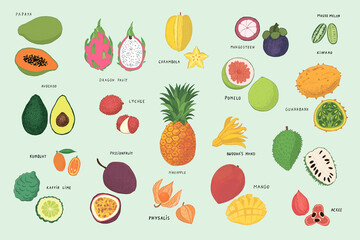 Summer tropical fruits vector illustrations set