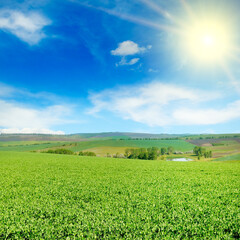 green field and blue sky with light clouds