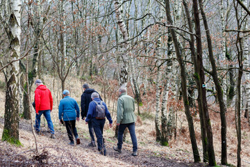 Fototapeta premium Des randonneurs sur les chemins des Ardennes