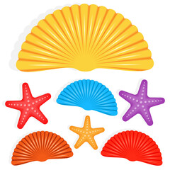 Seashells and star collection. Vector cartoon illustration.