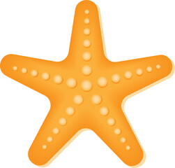 Starfish vector icon. Isolated on white background