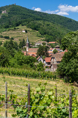 Fototapeta na wymiar vertical view of the Alsatian village of Ribeauville surrounded by vineyards and rolling hills on a beautiful summer day