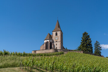 view of the historic church of Saint-Jacques-le-Majeur and vineyards in Hunawihr village