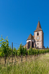 Fototapeta na wymiar vertical view of the historic church of Saint-Jacques-le-Majeur and vineyards in Hunawihr village