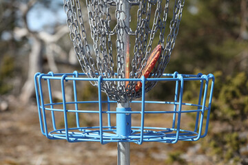 Detail photo from a disc golf course, Gotland Sweden.