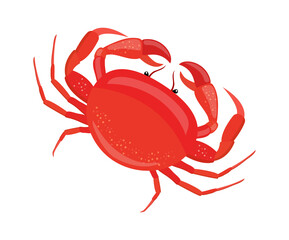 Crab Seafood icon. Vector illustration