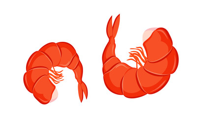 Cooked shrimps Seafood icon. Vector illustration