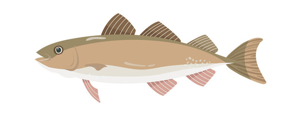 Sea fish Seafood icon. Vector illustration