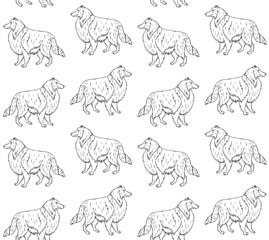 Vector seamless pattern of hand drawn doodle sketch collie dog isolated on white background