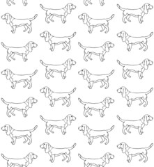 Vector seamless pattern of hand drawn doodle sketch basset hound dog isolated on white background