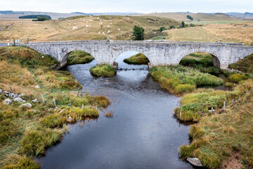 Pont en pierre au-dessus de la rivière Le Bès en Aubrac dans le massif central