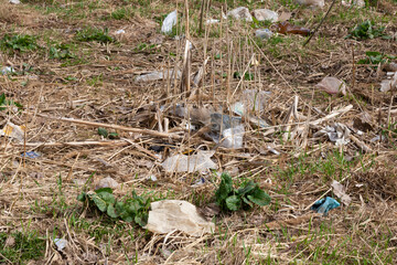 garbage bags and plastic bottles after the snow melts in spring. the concept of nature pollution by non-decomposing plastic