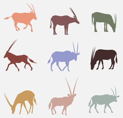 Colorful Set Of Oryx Antelope. Gemsbok Multicolored Silhouette Flat Editable Icon Set