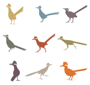 Collection Of Roadrunner Birds