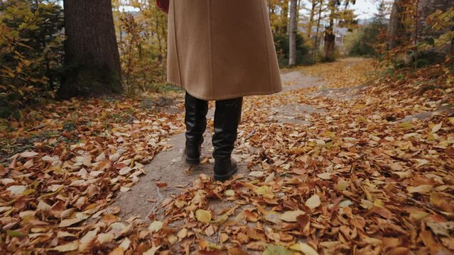 Close up of man's legs in boots and in long coat walking on path in woods. Fallen yellow leaves in park. Autumn time. Walk in fresh air. Woman walks in woods with tall trees.Peace and energy in nature