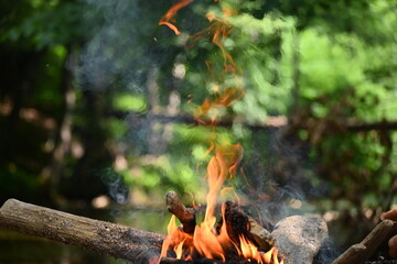 Fire burned by the stream in the forest
