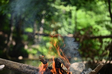 Fire burned by the stream in the forest