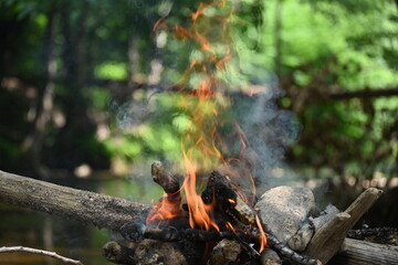 Fire burned by the stream in the forest