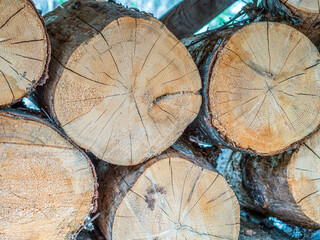 Sawn firewood is stacked in a woodpile. Stack of wood logs. Close-up