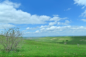daytime landscape green alpine meadows