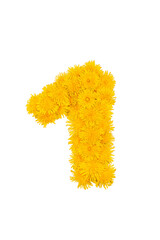 Figures from dandelion flowers isolated on a white background. Digit 1