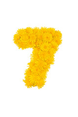 Figures from dandelion flowers isolated on a white background. Figure 7