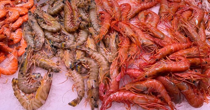 dried shrimp on a market