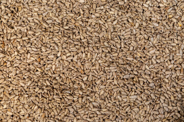 A full frame photograph of sunflower seeds