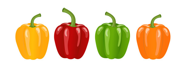 Colorful paprika peppers, banner, flat style vector illustration isolated on white background