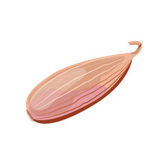 Shallot onion, flat style vector illustration isolated on white background