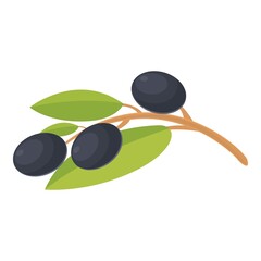Black olives tree icon cartoon vector. Virgin food. Extra fruit