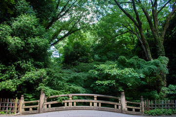 植物が生い茂る伝統的な橋