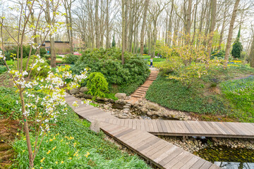 Beautiful garden with multi colored flowers near the Amsterdam city, Netherlands.