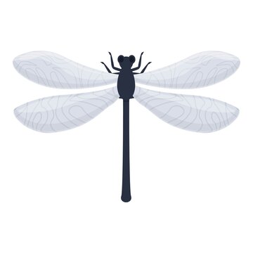 Sky dragonfly icon cartoon vector. Wing bug. Dragon fly
